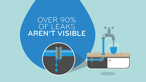 Water Efficiency